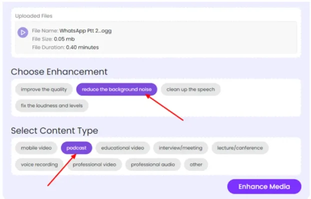 enhance audio button to start the tool’s processing.