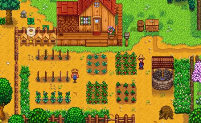 stardew valley