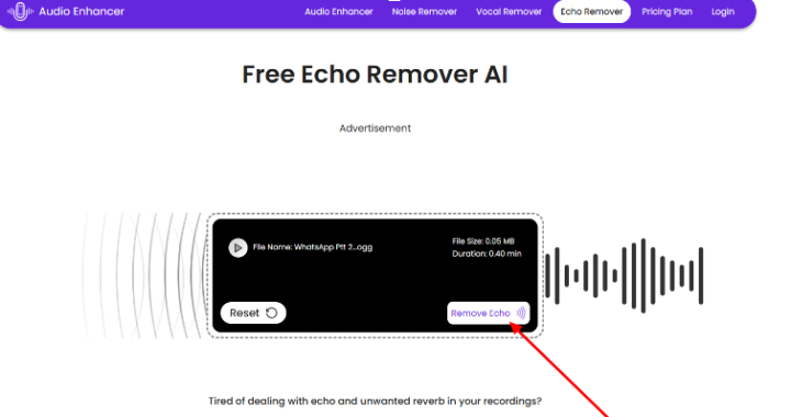 Start the tool by hitting the “Start” or “Remove echo” button