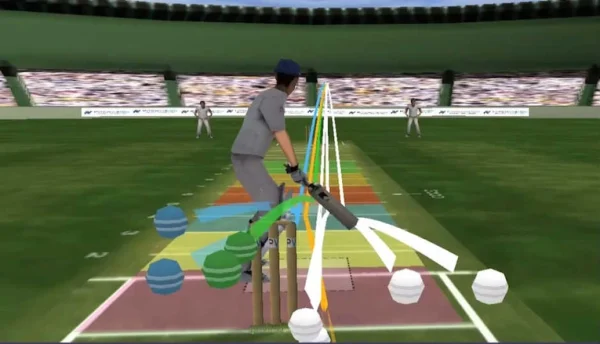 Pitch vision in cricket